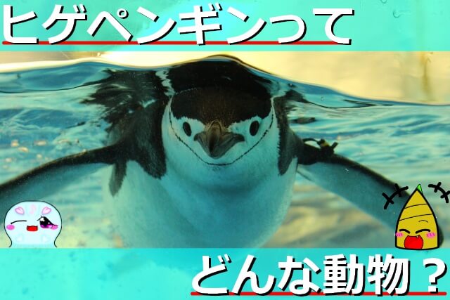 Thumbnail of post image 012